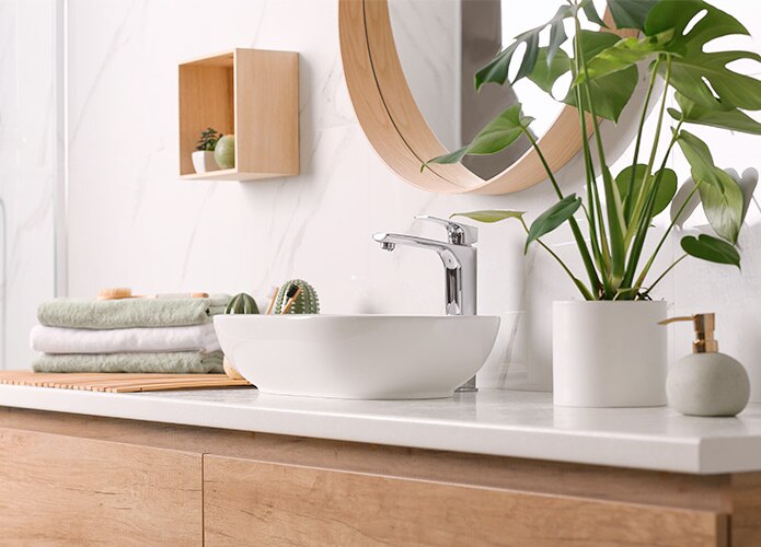Bathroom sink with plant