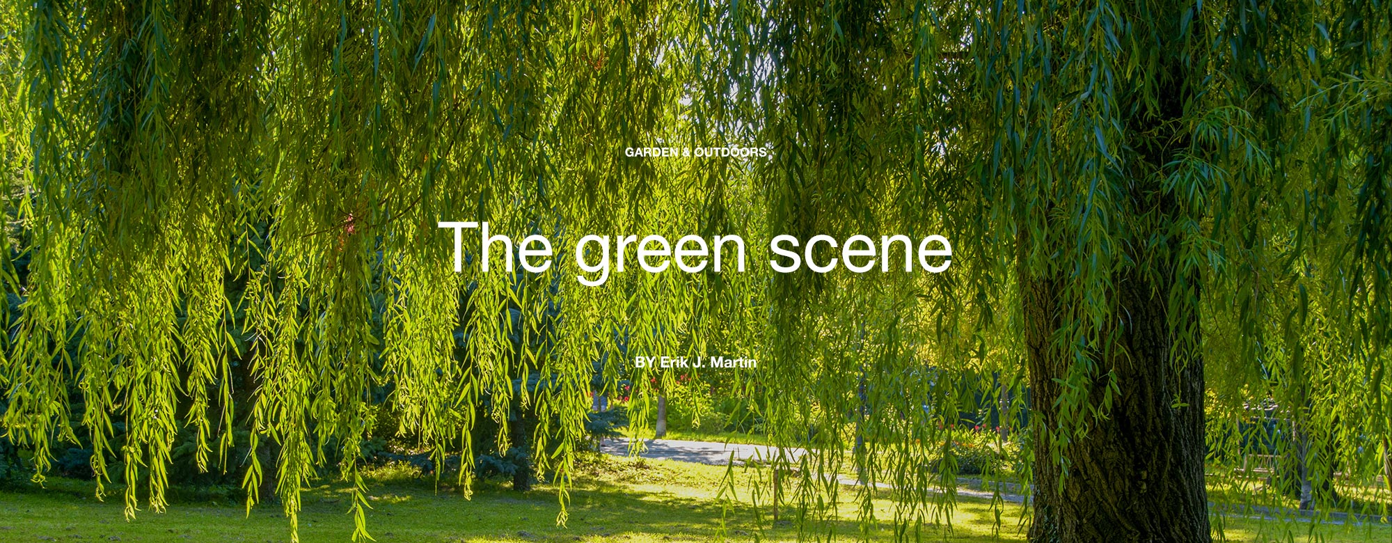 The green scene