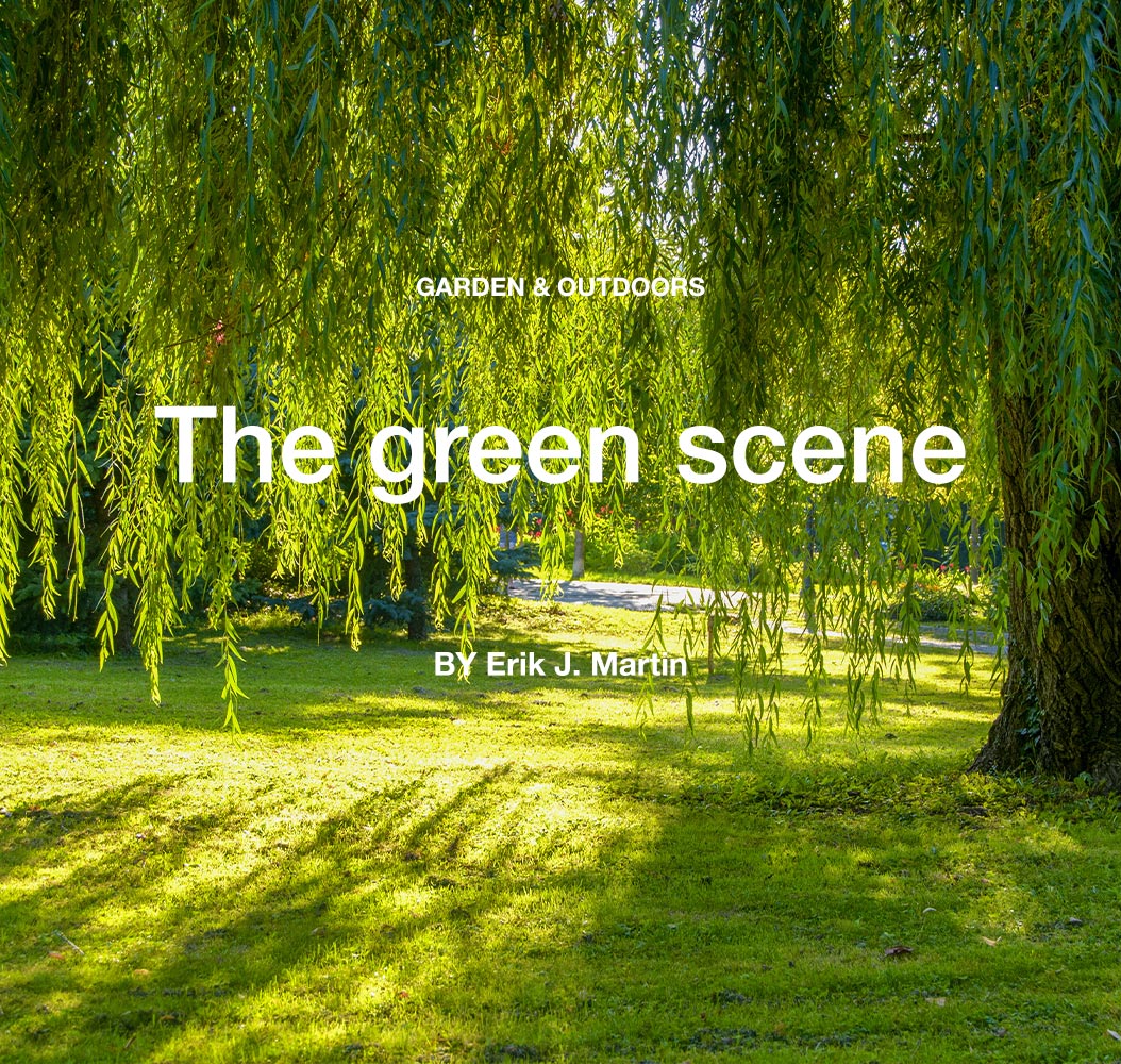 The green scene