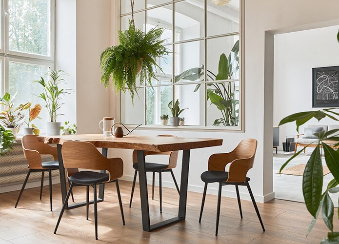 Neutral dining room with plants