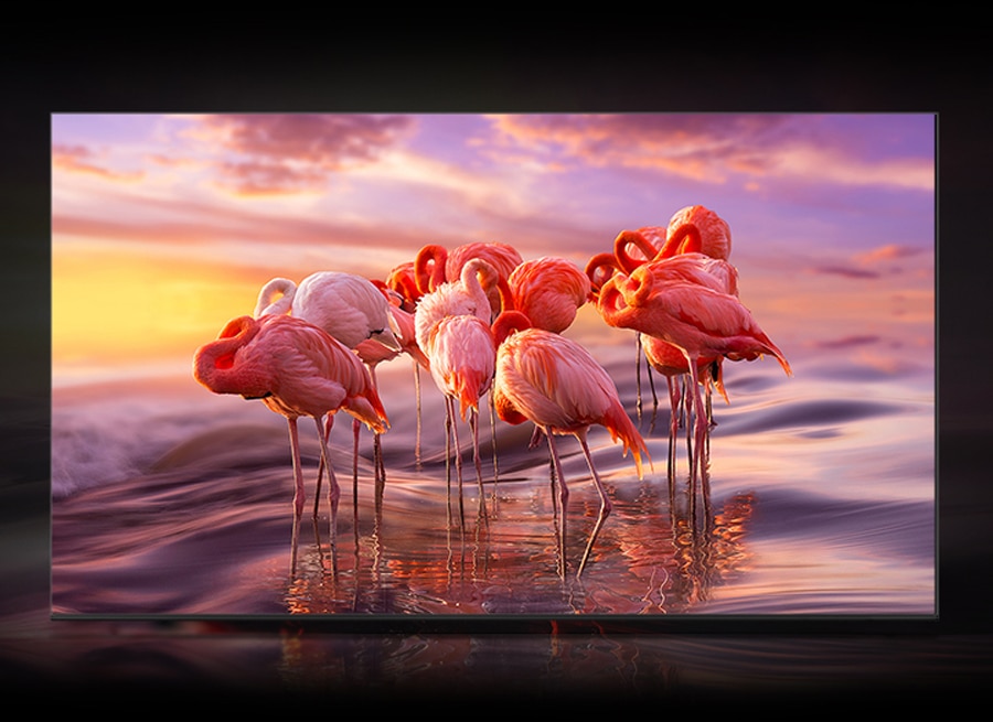 Unleash vivid colour with Quantum Dot