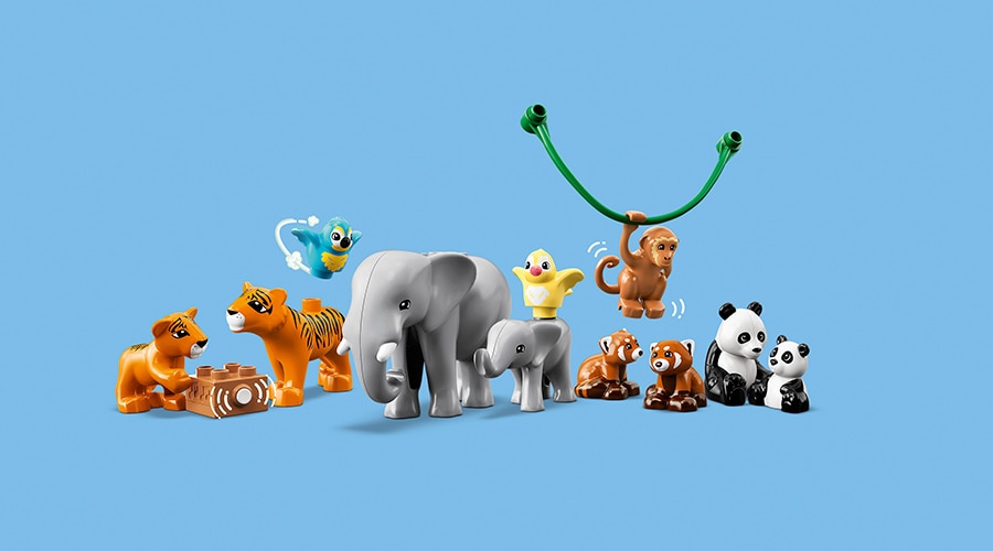 Explore Asian wildlife