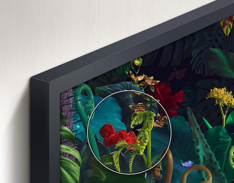 Unleash cinematic colour with Quantum Dot