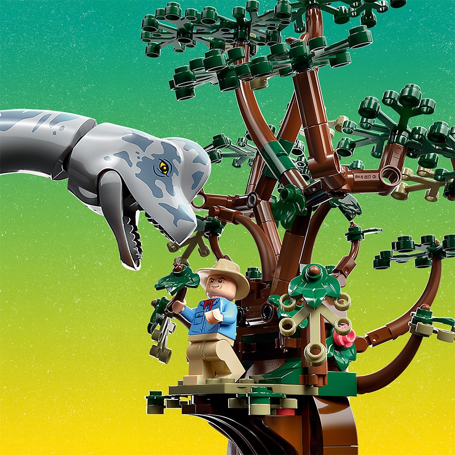 Tree with a viewing platform