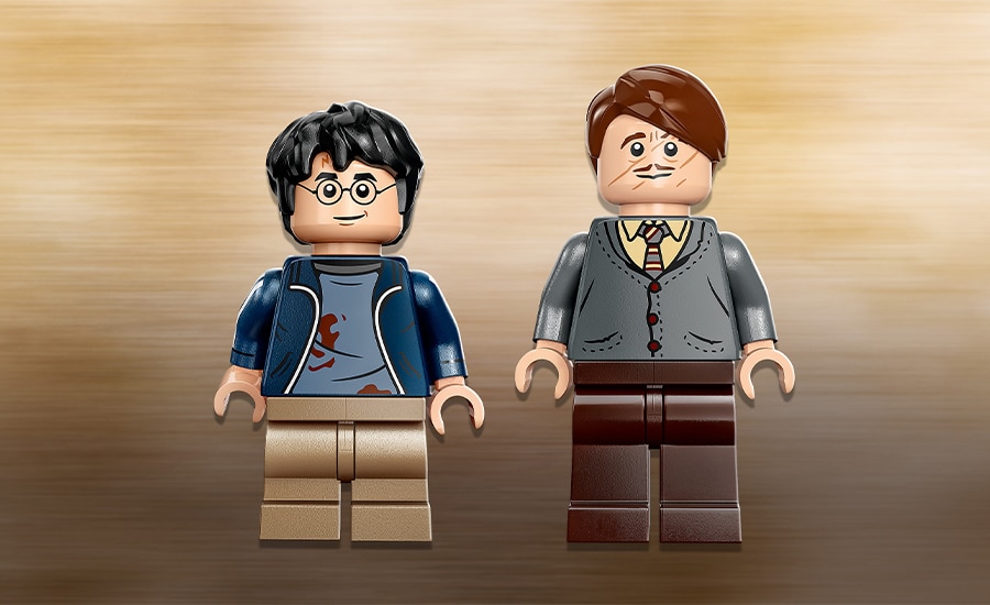 2 LEGO minifigures