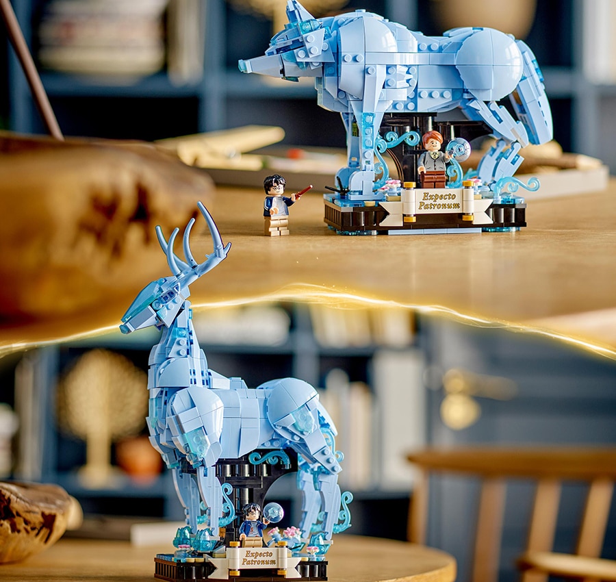 Build-and-display set
