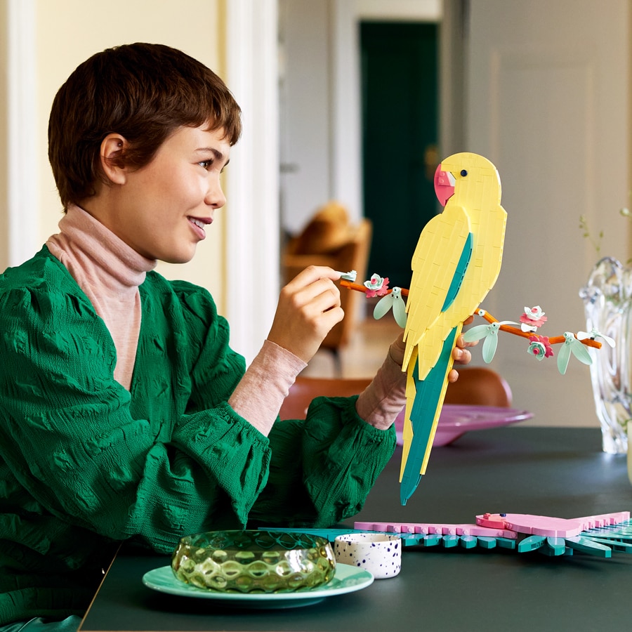 Parrot artwork 