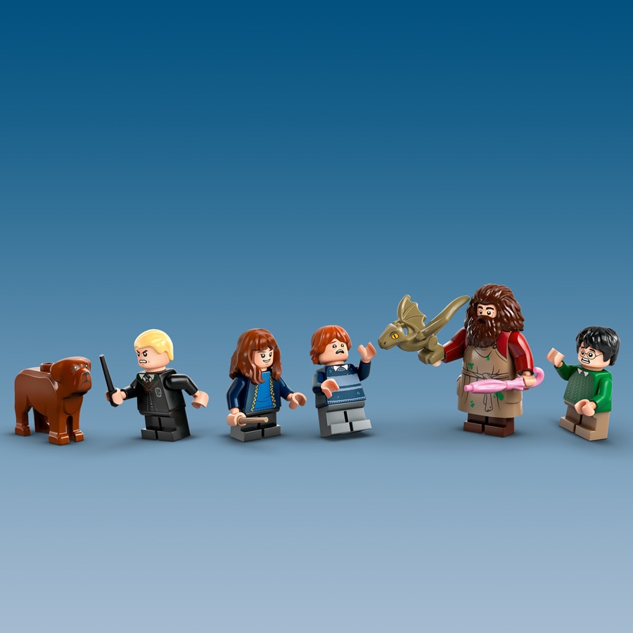 7 LEGO Harry Potter characters  