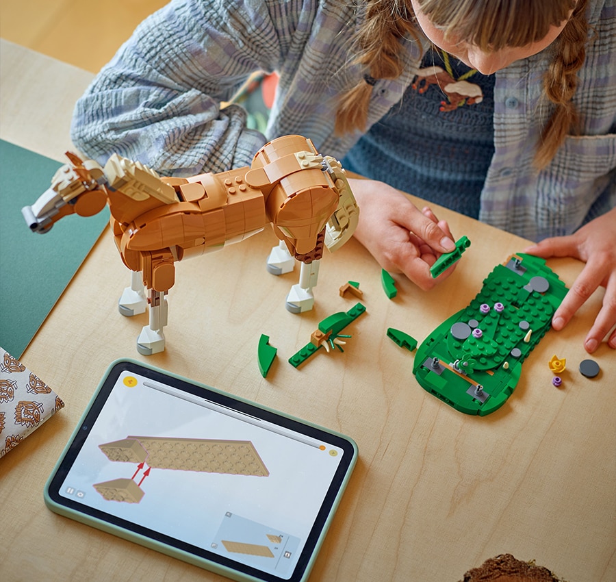 LEGO Builder app