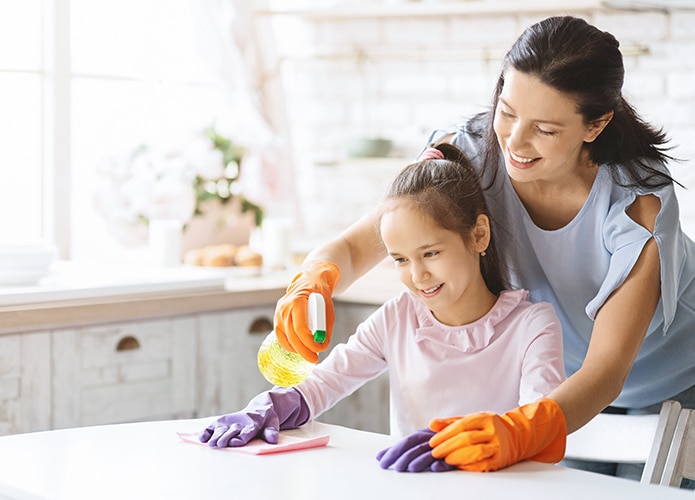 Pest proof your home