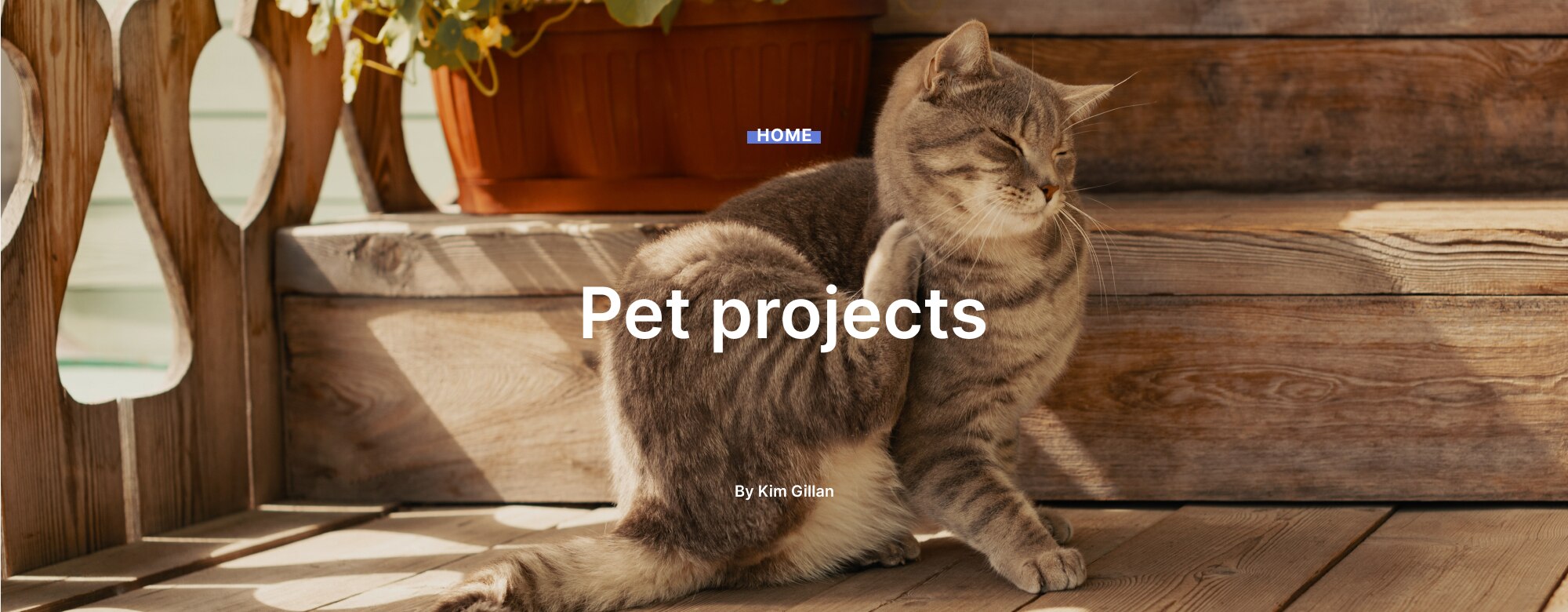 Pet projects