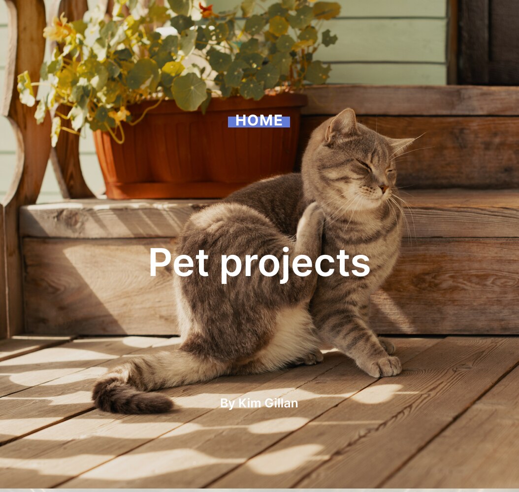 Pet projects