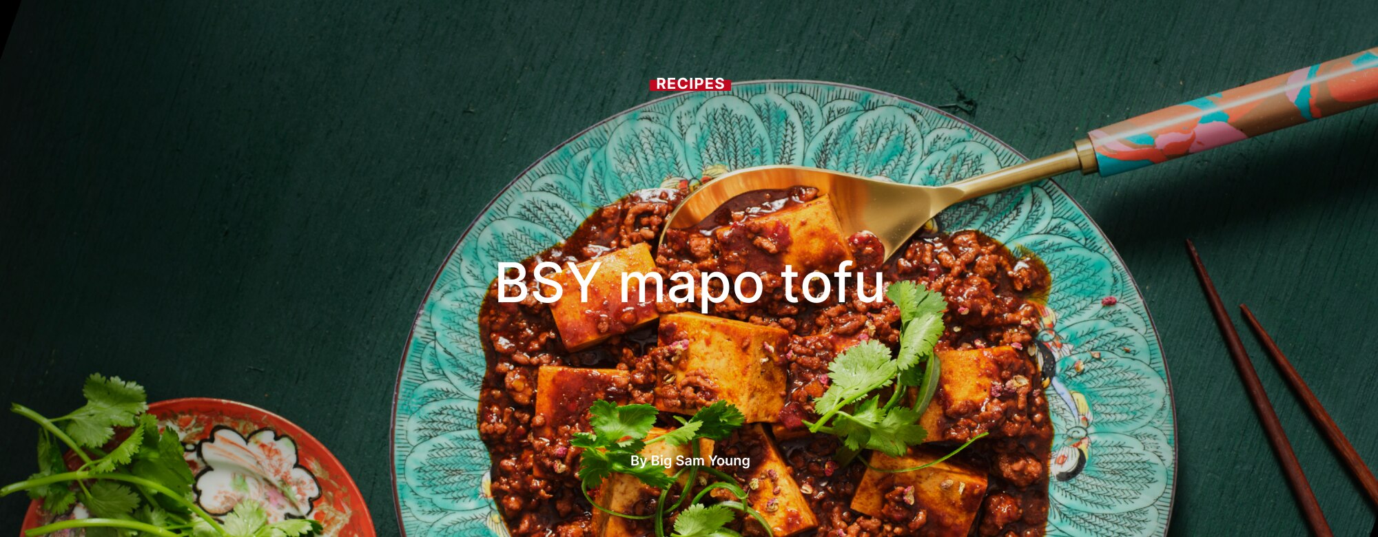 BSY mapo tofu