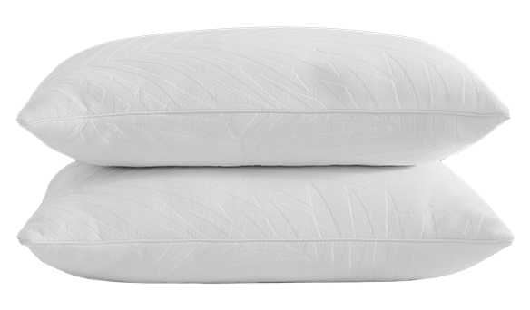 Tommy Bahama Avocado Knit Pillows 2 pack