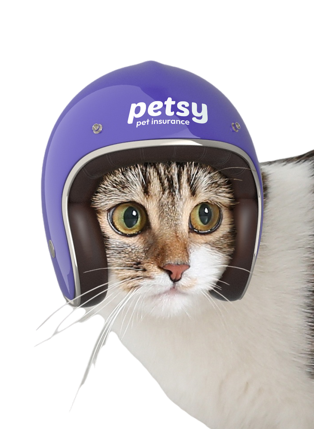 Customise your Petsy policy to suit your financial and coverage needs