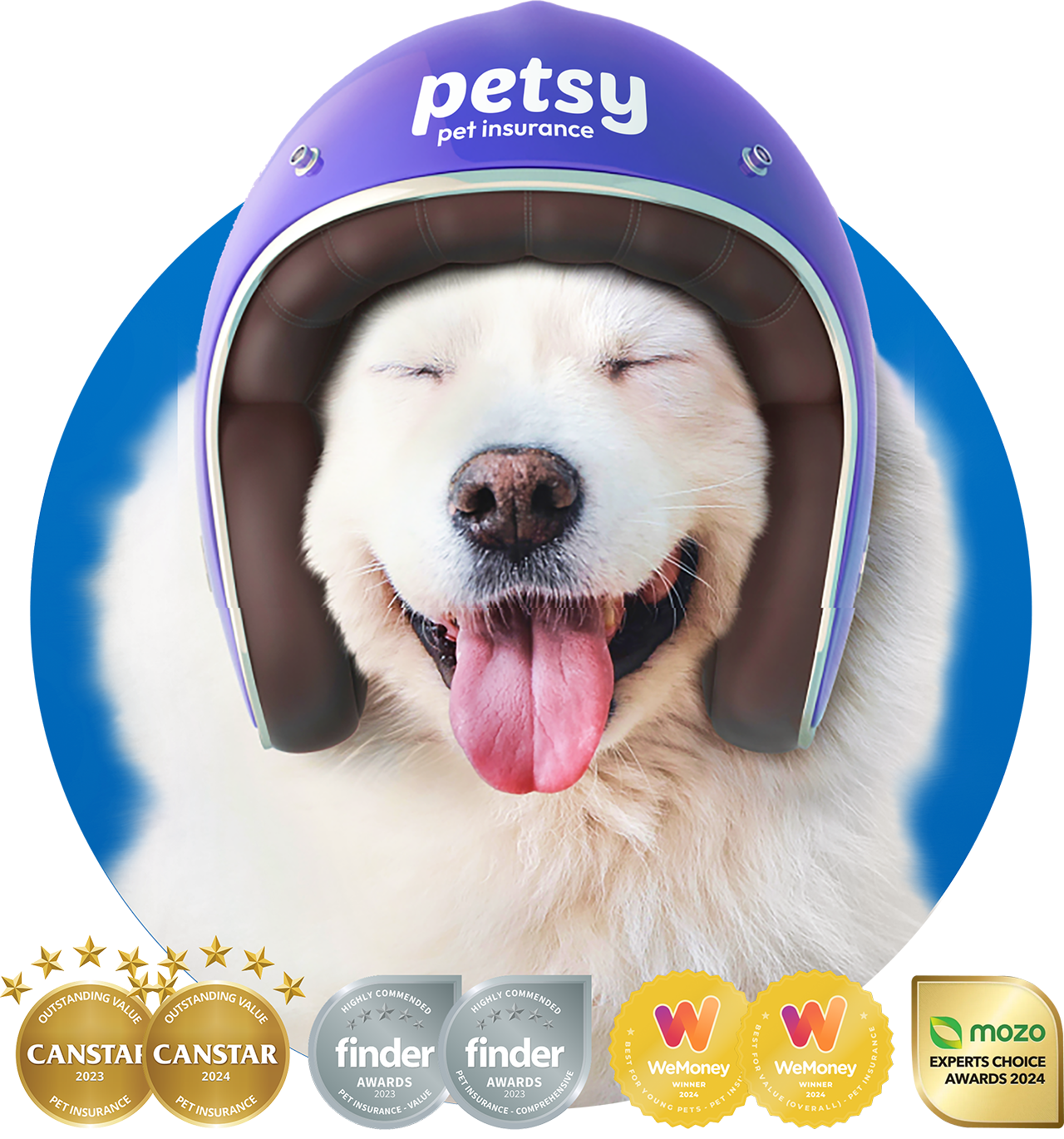 Why Costco chose Petsy as a preferred pet insurance provider