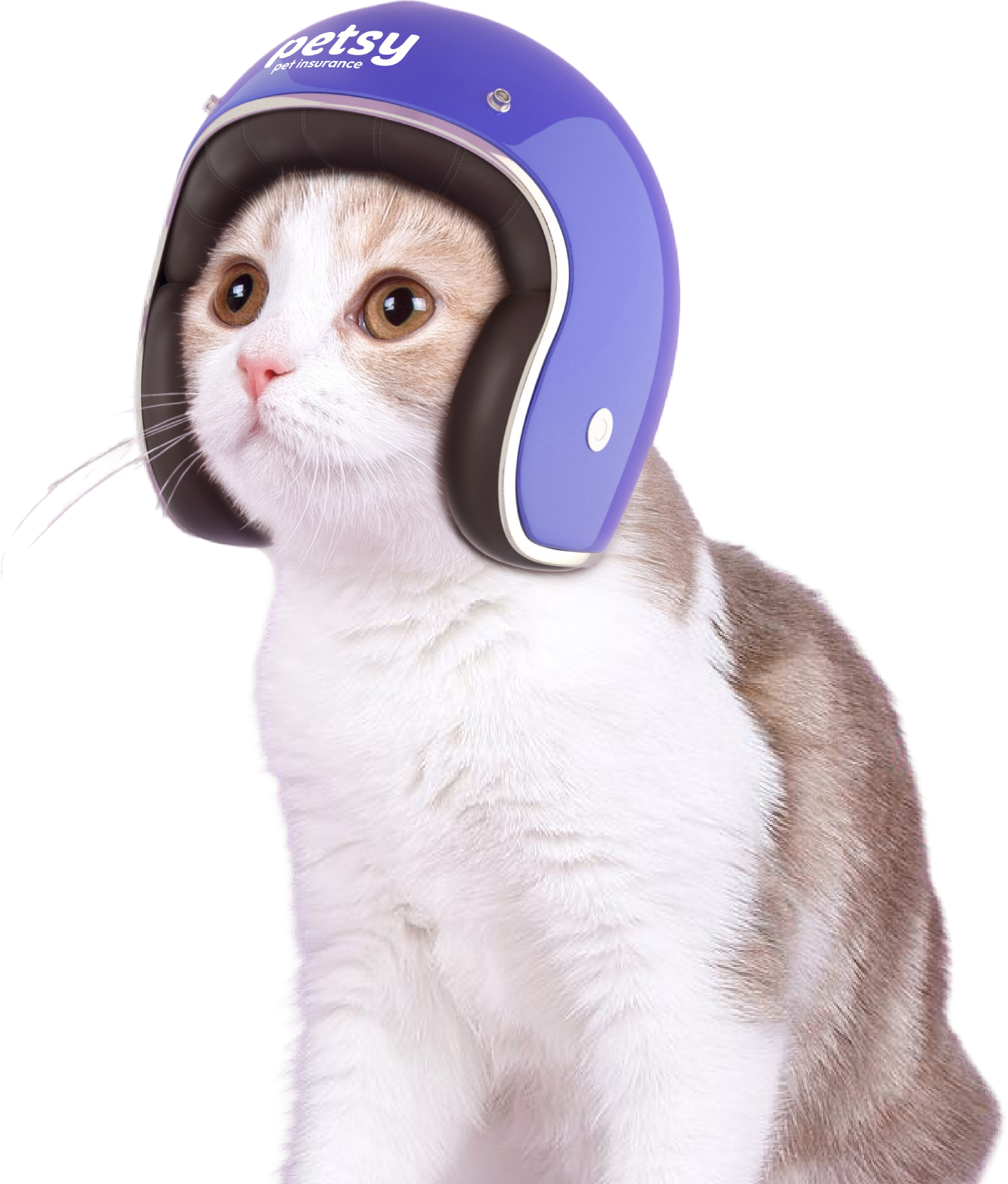 Want someone else to help pay your unexpected vet bills?