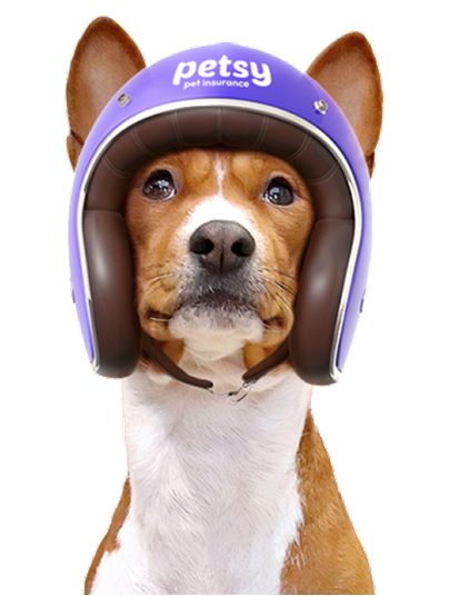 Get Started with Petsy