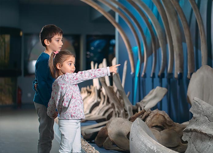 Children at museum