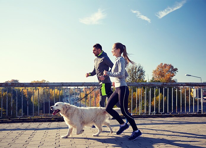 Couple running with dog