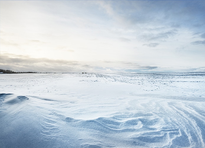 Snow covered field