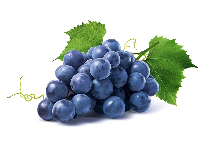 Three bottles of wine on white background