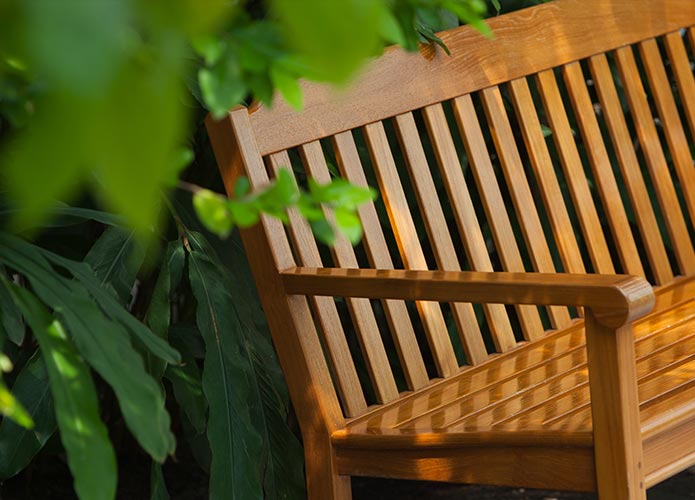 Wooden bench among greenery