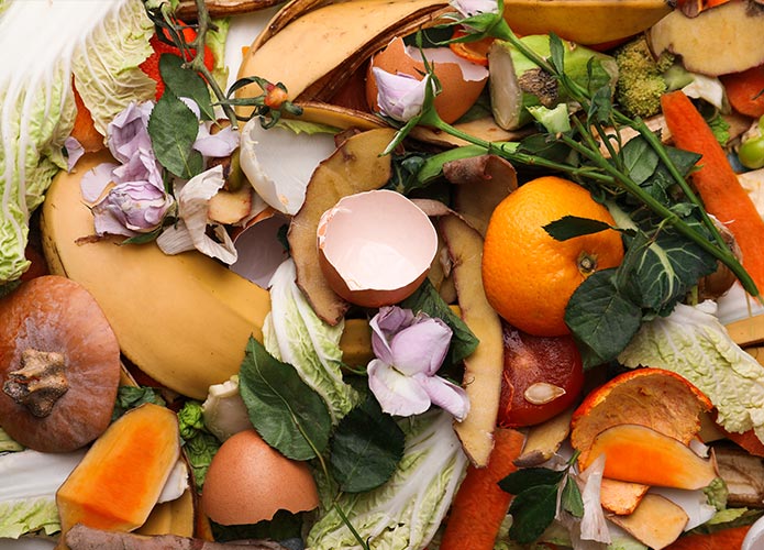 Colourful compost