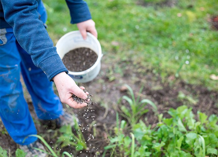 Fertilising garden