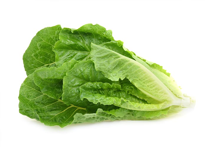 Cos lettuce