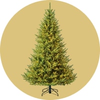 All Christmas