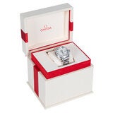 Omega Seamaster Aqua Terra Stainless Steel Women's Watch 231.15.34.20.55.001