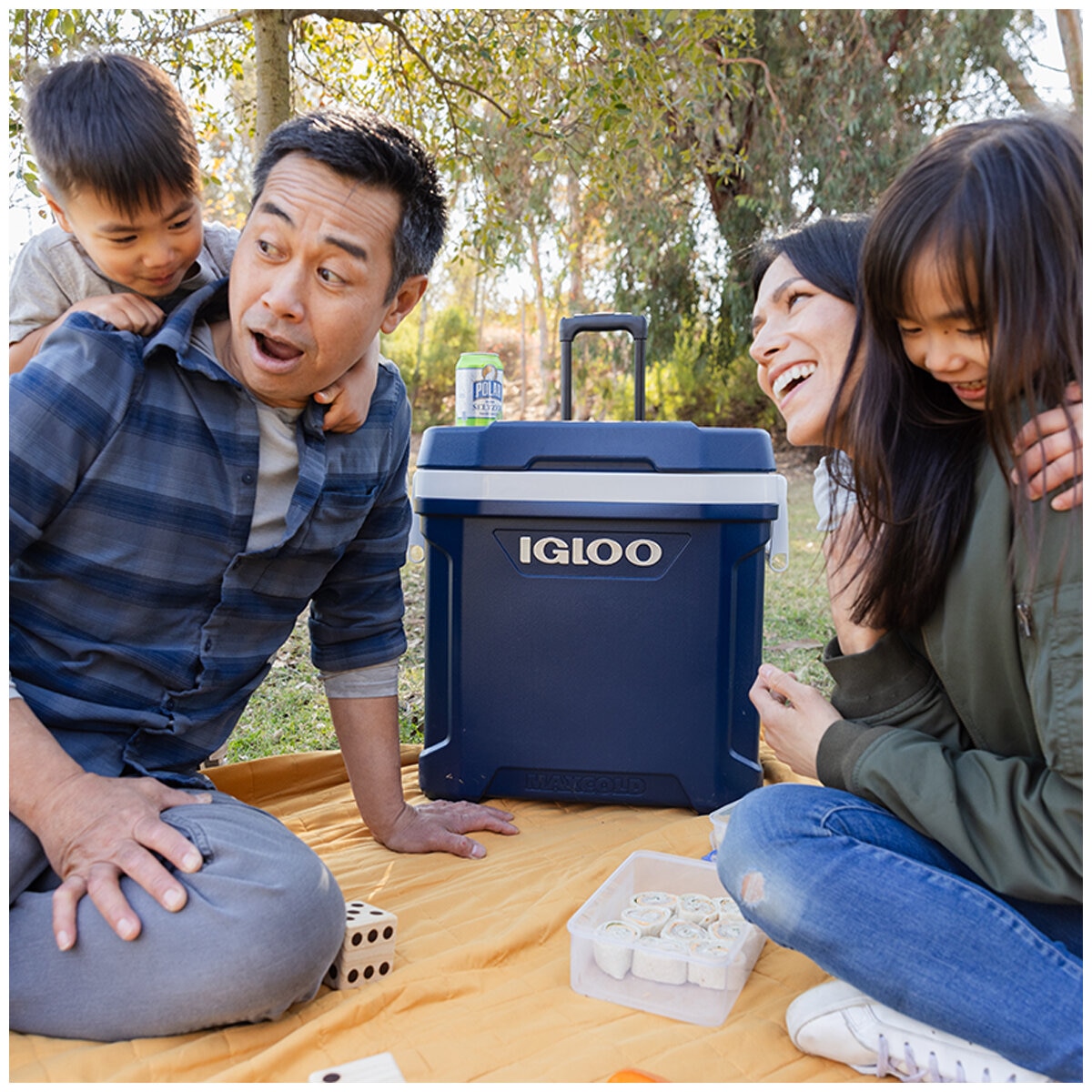 Igloo 62QT Maxcold