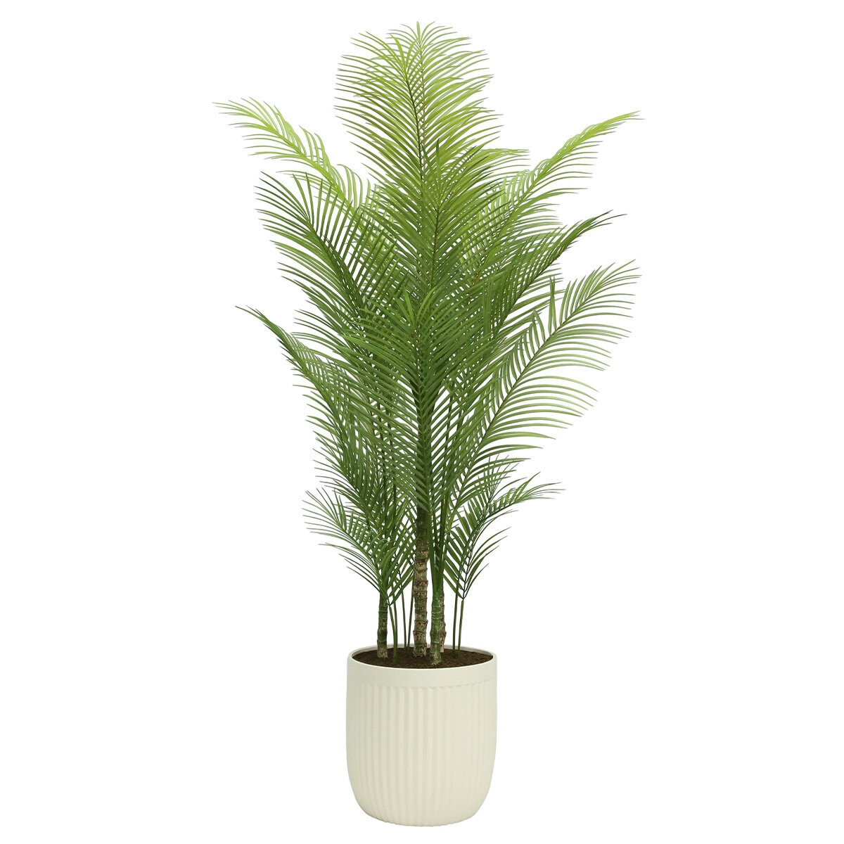 CG Hunter Faux Palm Tree in Ribbed Pot 2M