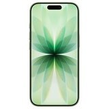 iPhone 17 Sage
