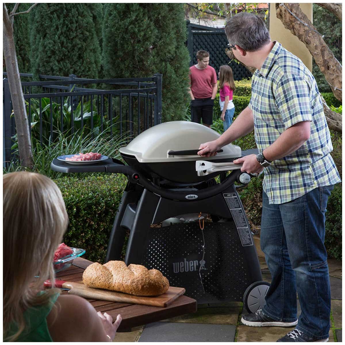Weber Family Q3100 Titanium