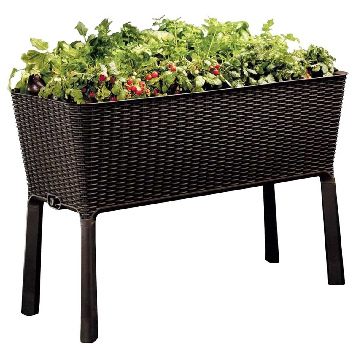 Keter Easy Grow Planter Brown
