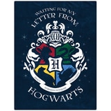 Licensed Oversized Plush Throw Harry Potter Costco Aust
