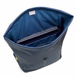 Delsey Turenne Rolltop Backpack