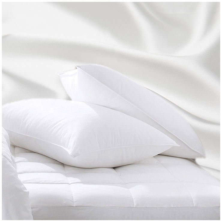 Ramesses Mulberry Silk Pillow Twin Pack 48 x 74 cm Costco Australia