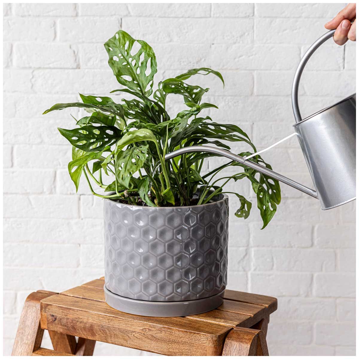over&back Set of 2 Honeycomb Ceramic Planters