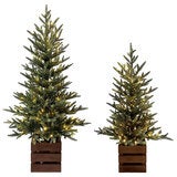 CGH Pine Trees with LED Twinkle Lights 2 Piece Set