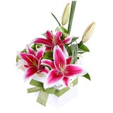Enchanting Lillies Arrangement