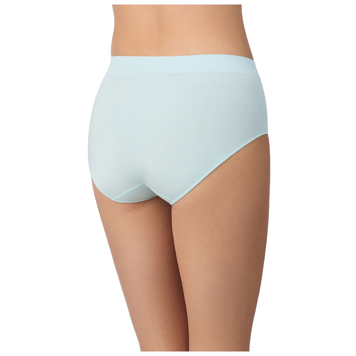 Carole Hochman Women's Seamless Brief 5 Pack Small Multi