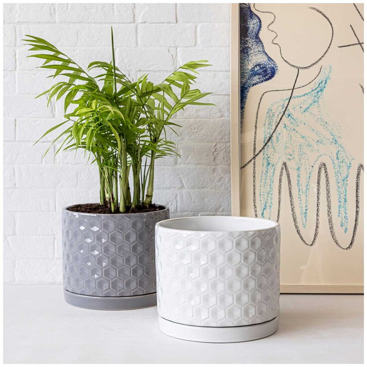 over&back Set of 2 Honeycomb Ceramic Planters