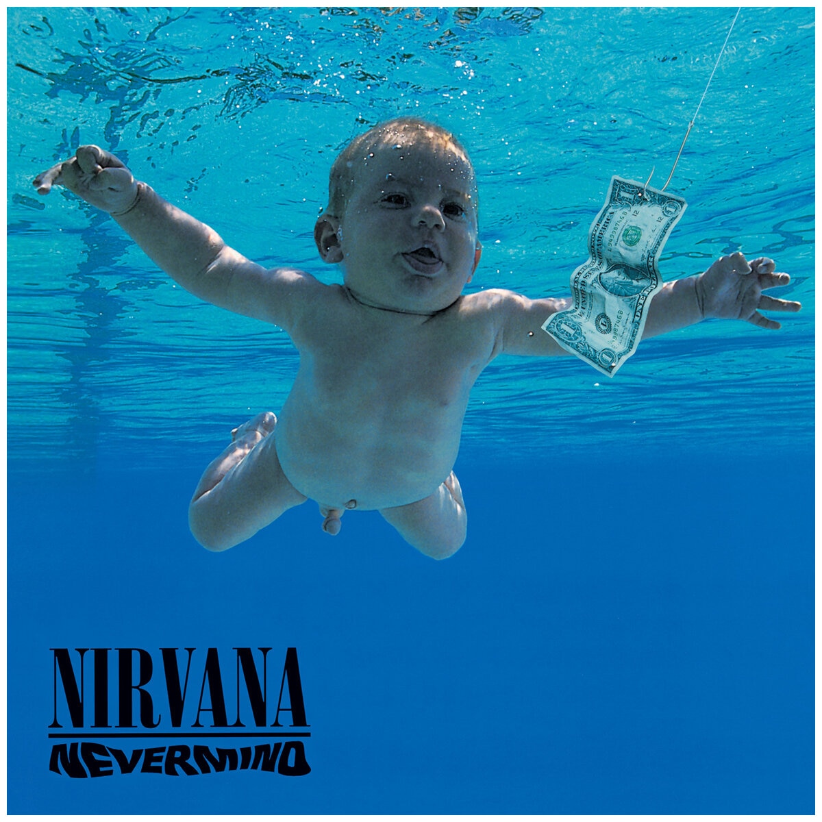 Nirvana Nevermind Vinyl Album