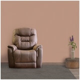 Ezy Motion Jackson Lifting Chair 4 motor