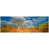 Ken Duncan 30 Snappy Gums, Marble Bar, WA Framed Print White