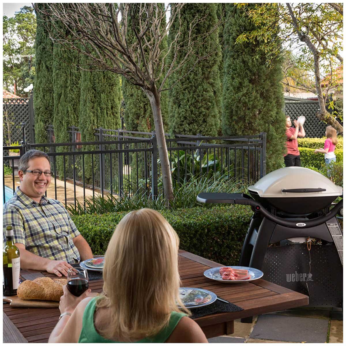 Weber Family Q3100 Titanium