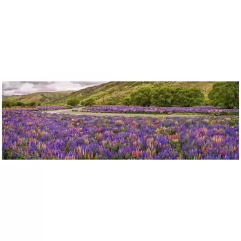 Ken Duncan Floral Canvas Framed Print 60.9 x 127.6cm